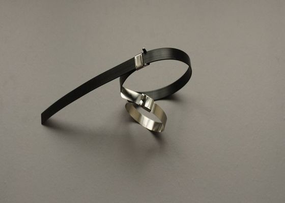 China L schreiben Edelstahl-Kabelbindern die 8 Zoll-Bindungs-Verpackungen mit der Ohr-Schnallen-Blockierung fournisseur