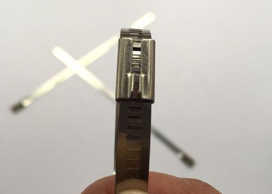 China 7 x 450 der multi Verschluss-Millimeter Art-Edelstahl-Leiter-Kabelbinder für freie Probe fournisseur