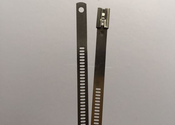 China Selbstverschluß 12 x 490mm Edelstahl-Leiter-Kabelbinder UL SGS-CER ISO9001 fournisseur