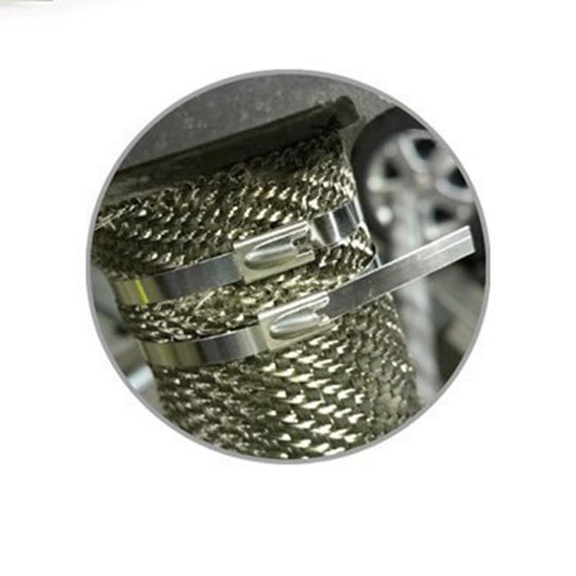Edelstahl-Kabelbinder-Metallbindung des langlebigen Gutes 304 wickelt 100pcs/Pkt 4,6 x 250 Millimeter ein