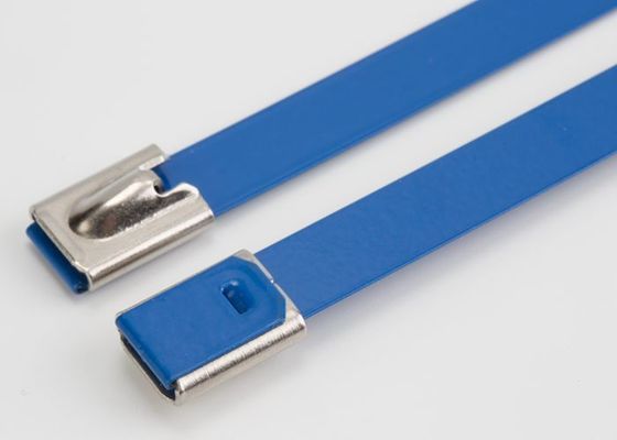China Blauer Farbepoxy-kleber beschichteter Edelstahl-Kabelbinder-Selbst, der Zipbindungen zuschließt fournisseur