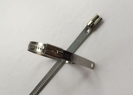 China Art-Kabelbinder der Leiter-SS304, Edelstahl-Kabel-Reißverschluss bindet 12mm Breite fournisseur